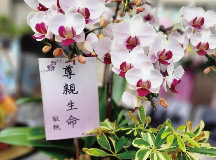 尊親生命禮儀公司的回憶點滴圖片